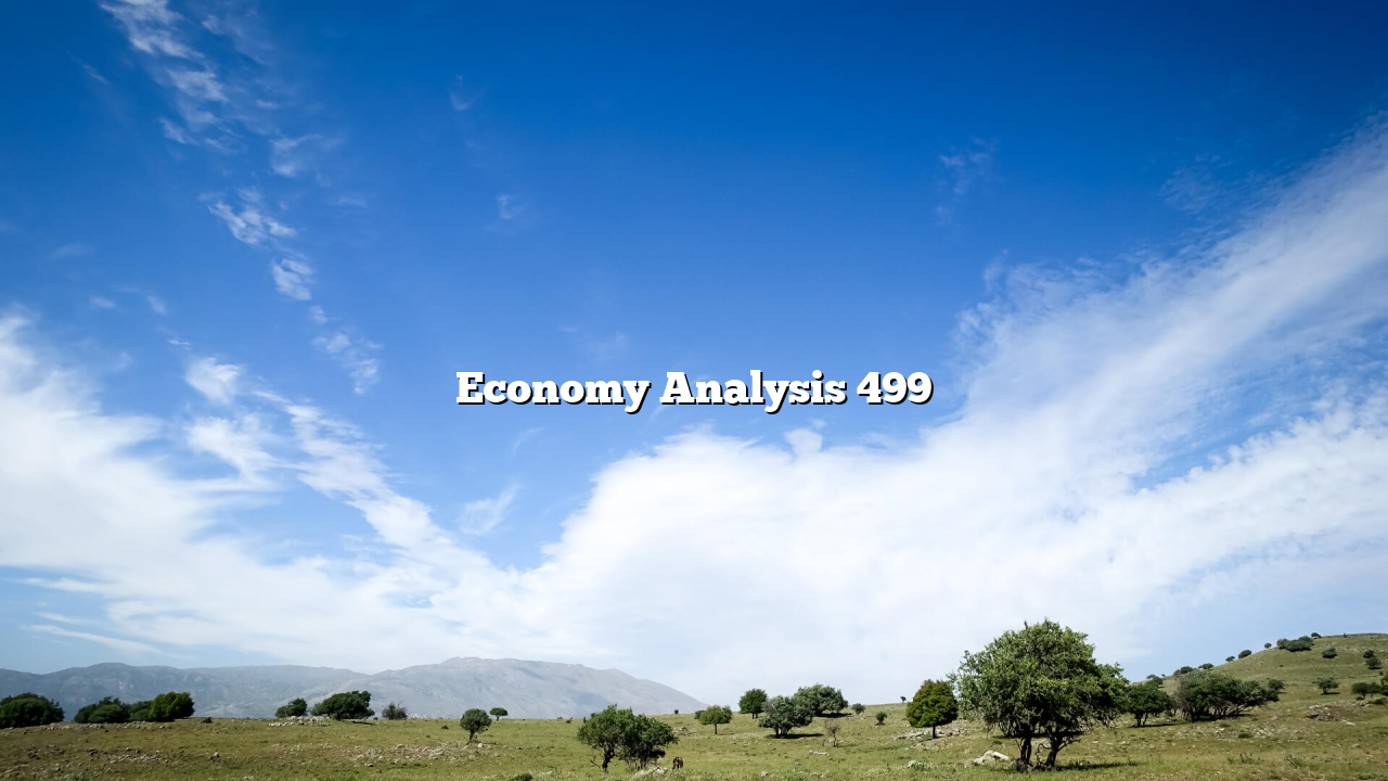 Economy Analysis 499